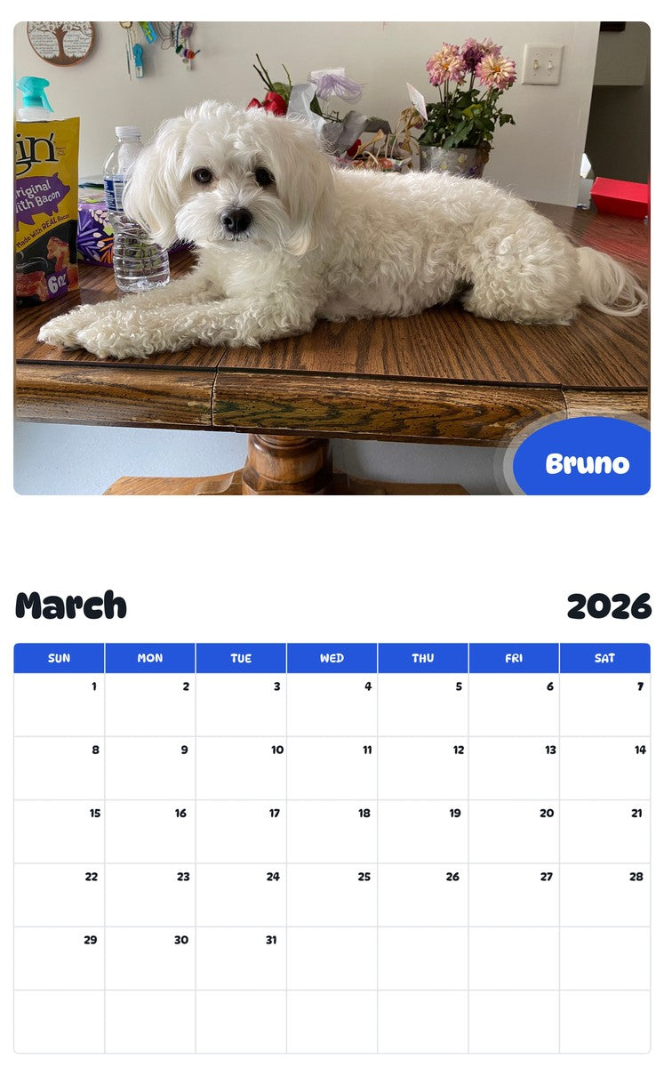 November 2025 - October 2026 Bruno - Pawidols Pet Calendar