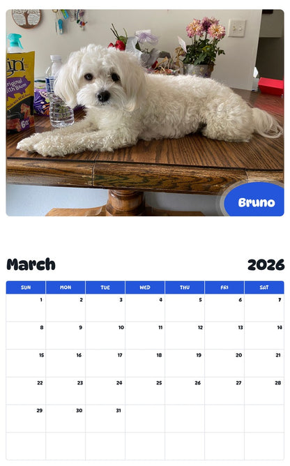 November 2025 - October 2026 Bruno - Pawidols Pet Calendar
