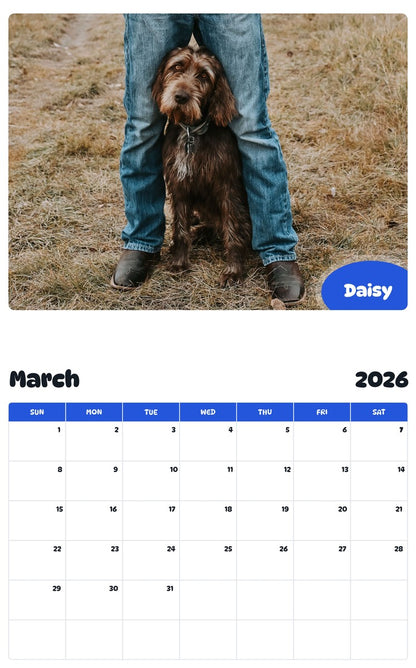 November 2025 - October 2026 Daisy - Pawidols Pet Calendar