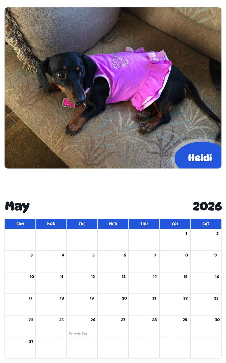 2026 - 2027 Heidi - Pawidols Pet Calendar