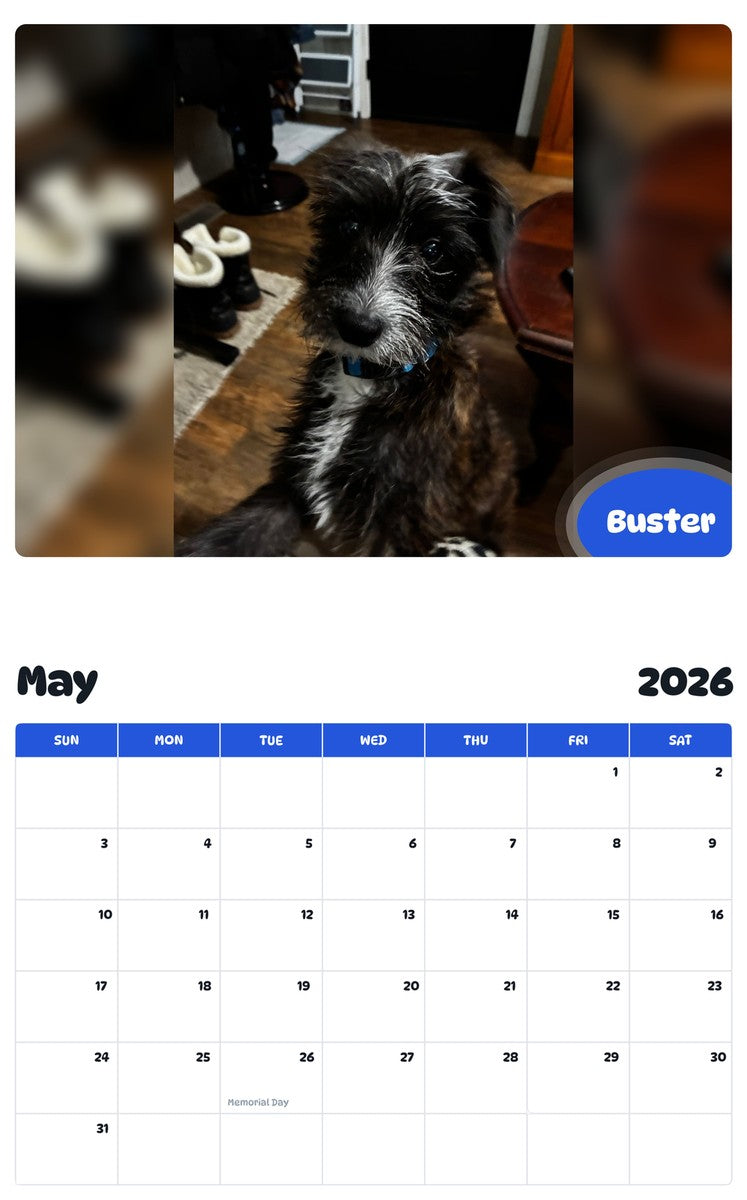 2026 - 2027 Buster - Pawidols Pet Calendar