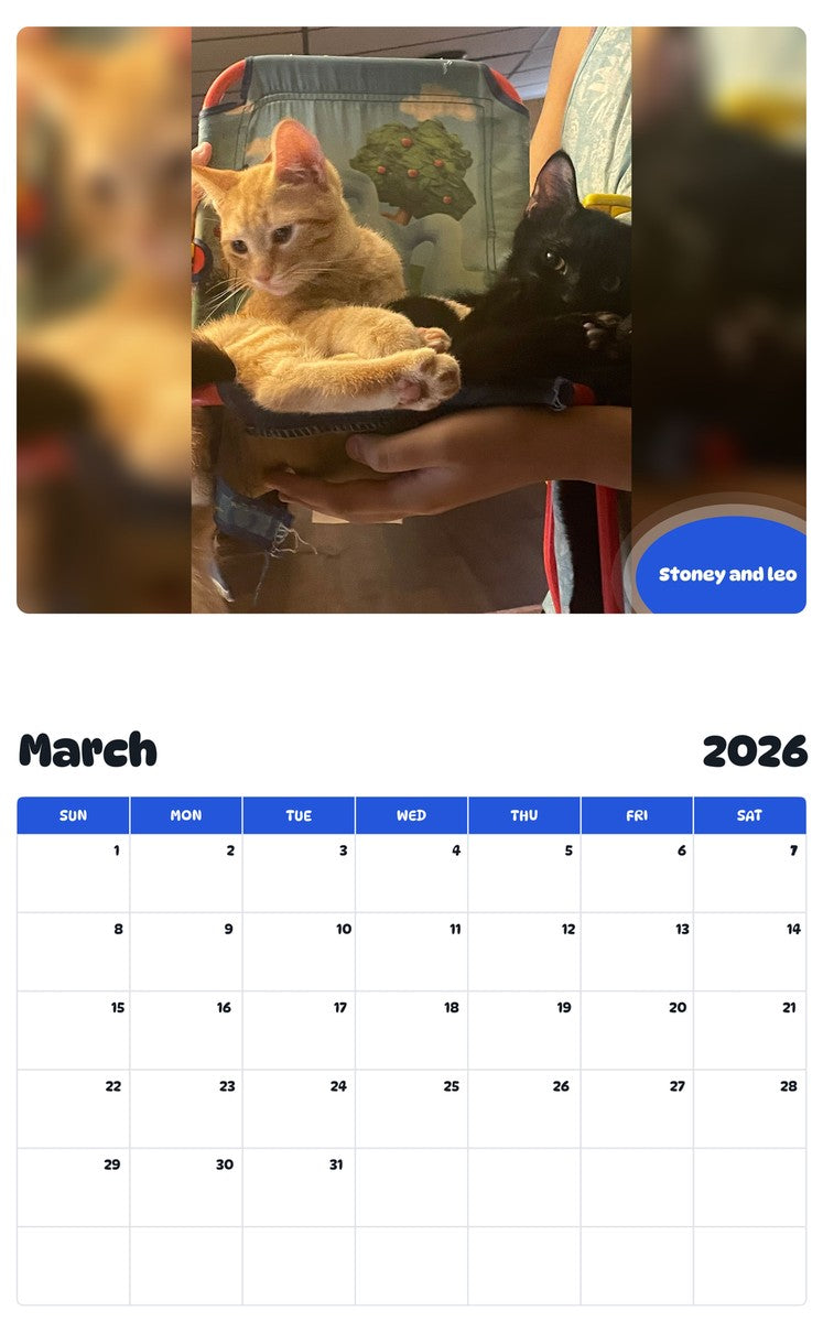 November 2025 - October 2026 Stoney and leo - Pawidols Pet Calendar