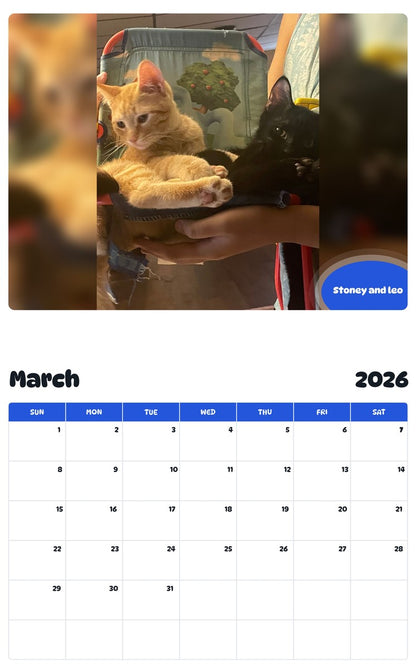 November 2025 - October 2026 Stoney and leo - Pawidols Pet Calendar