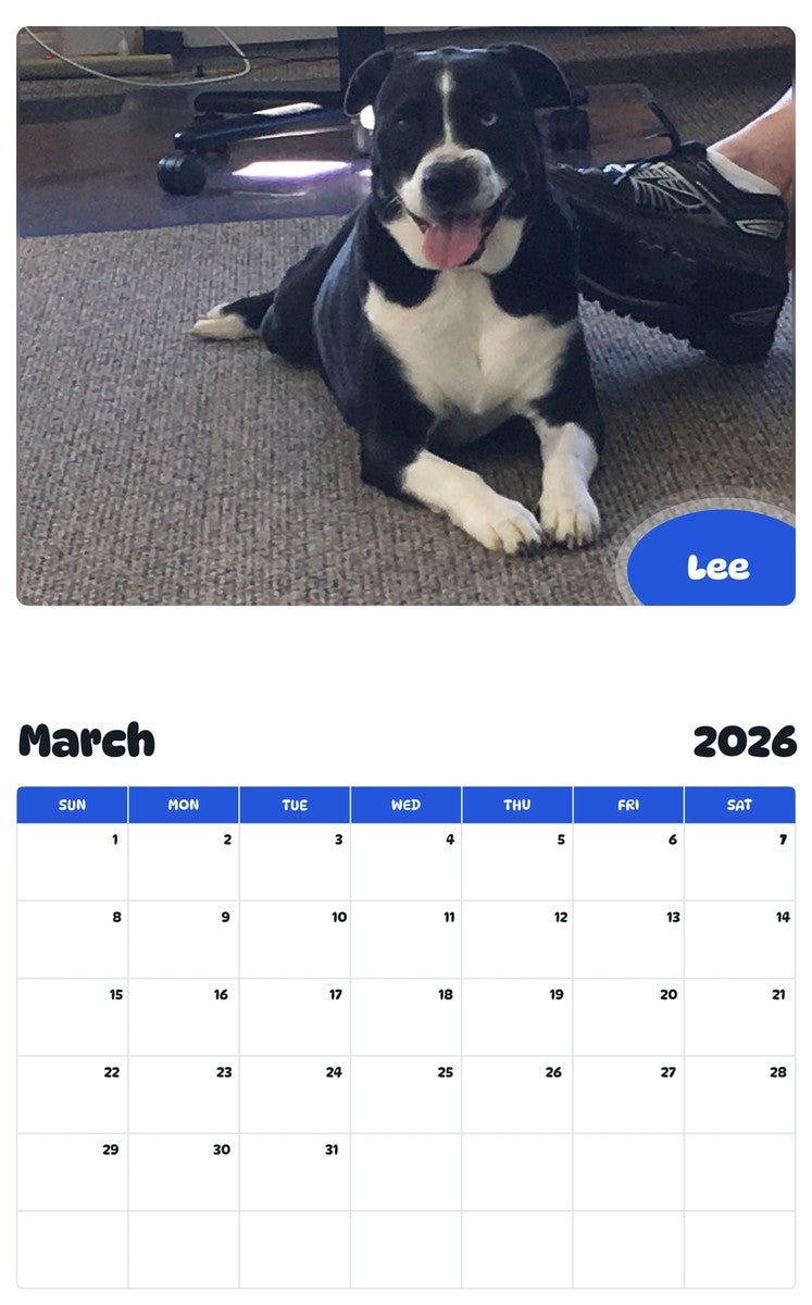 November 2025 - October 2026 Lee - Pawidols Pet Calendar