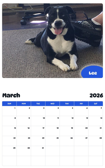 November 2025 - October 2026 Lee - Pawidols Pet Calendar