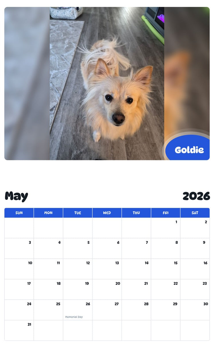 2026 - 2027 Goldie - Pawidols Pet Calendar