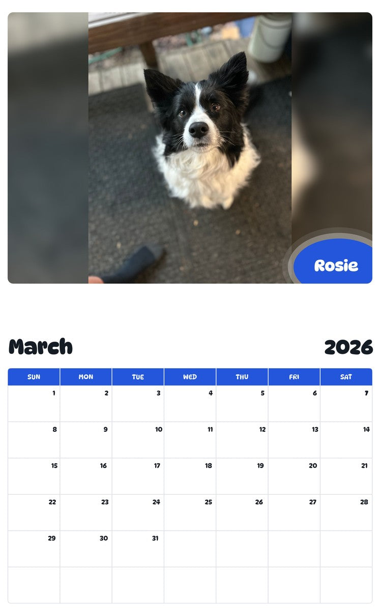 November 2025 - October 2026 Rosie - Pawidols Pet Calendar