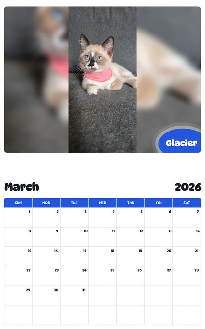 November 2025 - October 2026 Glacier - Pawidols Pet Calendar