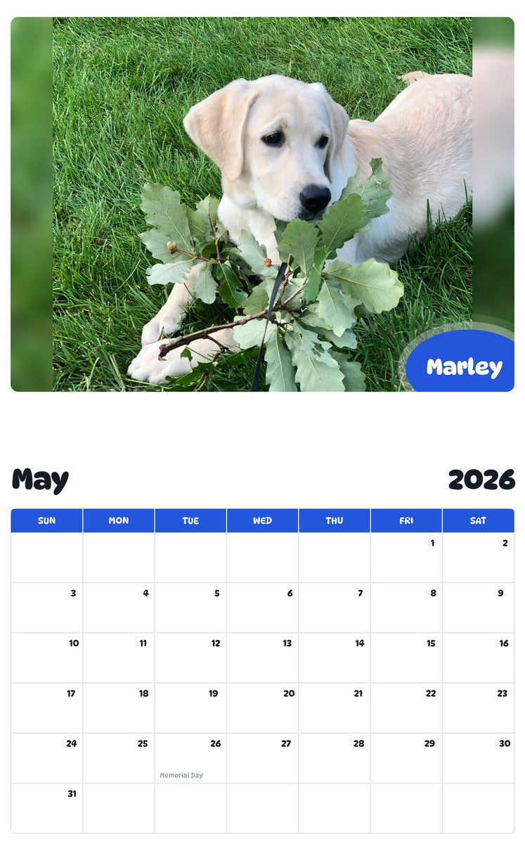 2026 - 2027 Marley - Pawidols Pet Calendar