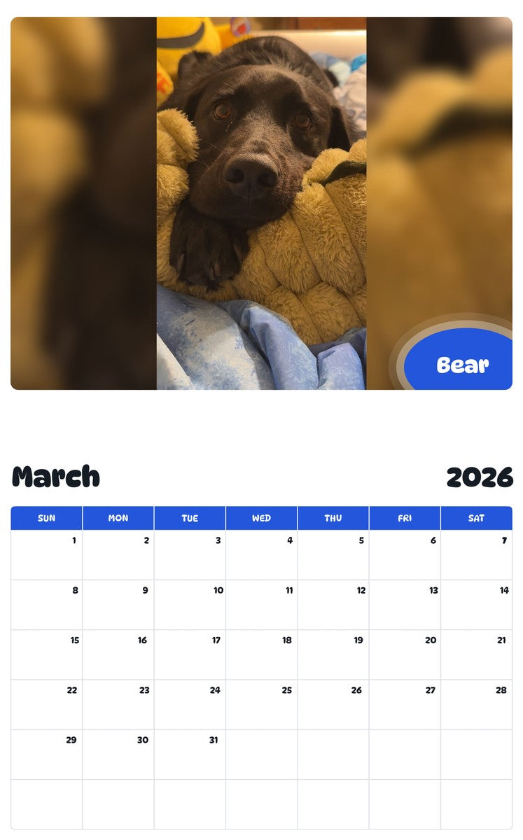 November 2025 - October 2026 Bear - Pawidols Pet Calendar