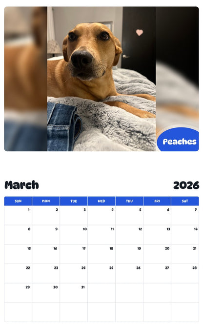 November 2025 - October 2026 Peaches - Pawidols Pet Calendar