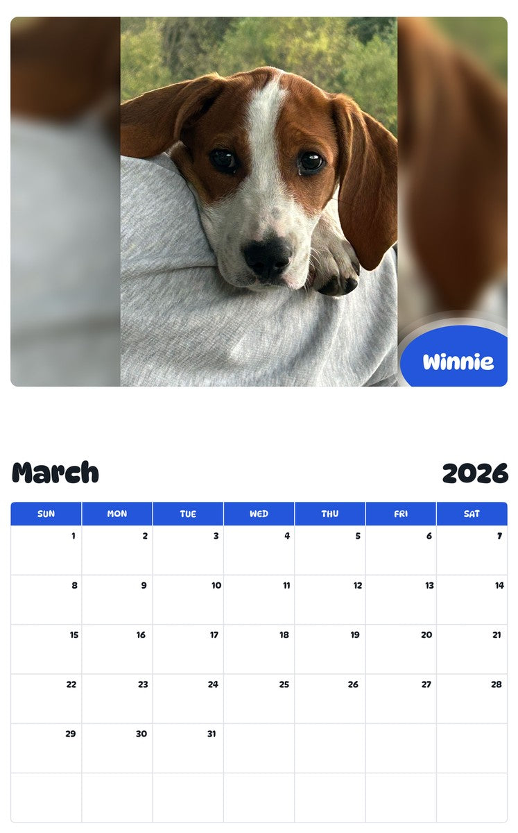 November 2025 - October 2026 Winnie - Pawidols Pet Calendar
