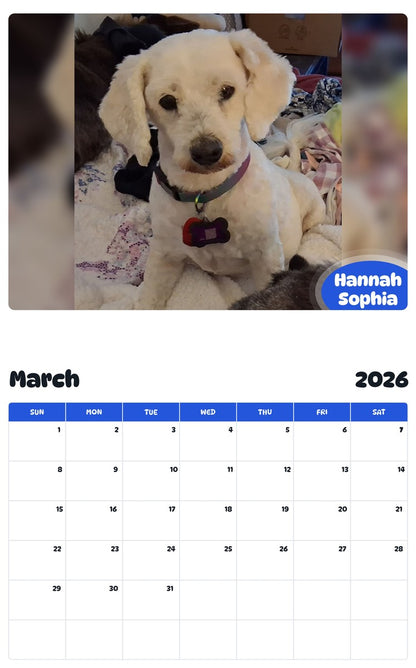 November 2025 - October 2026 Hannah Sophia - Pawidols Pet Calendar