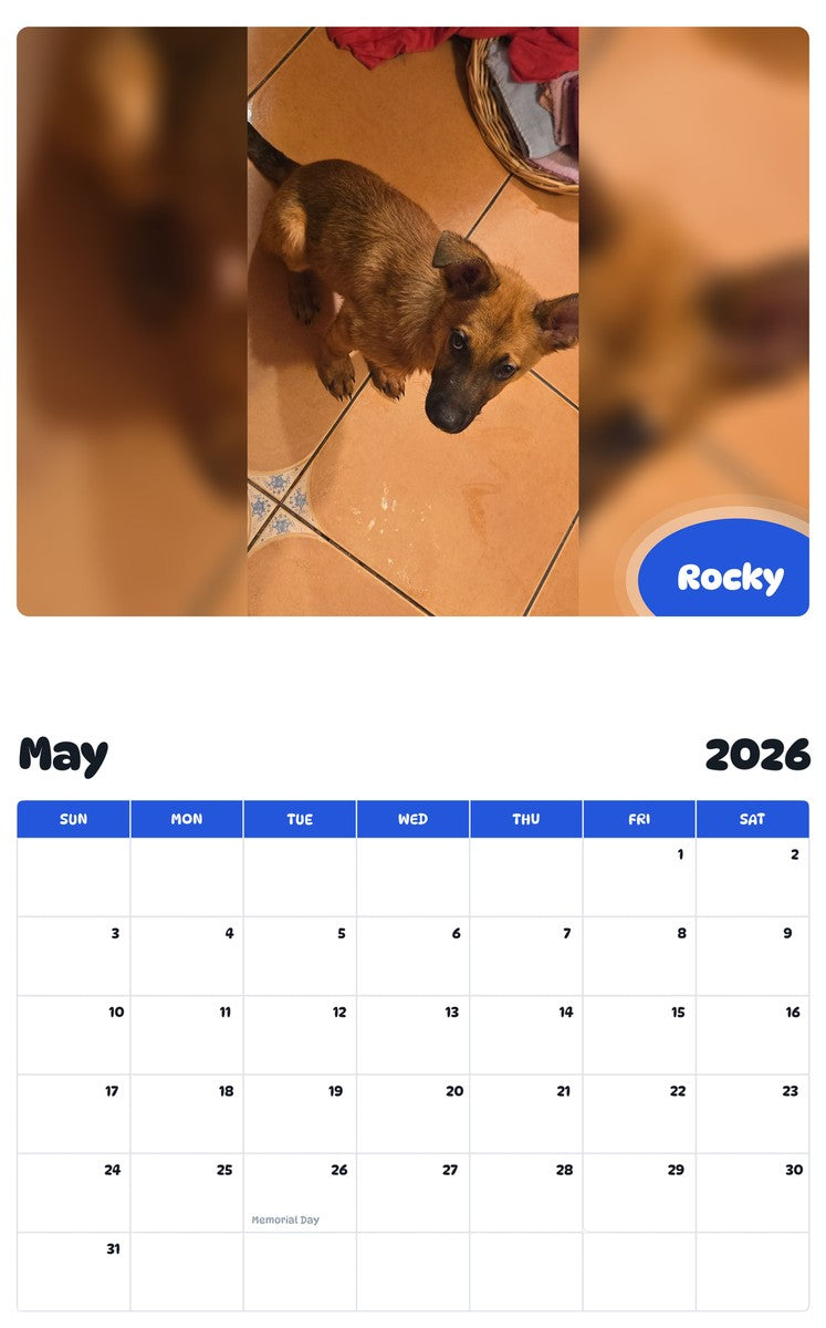2026 - 2027 Rocky - Pawidols Pet Calendar