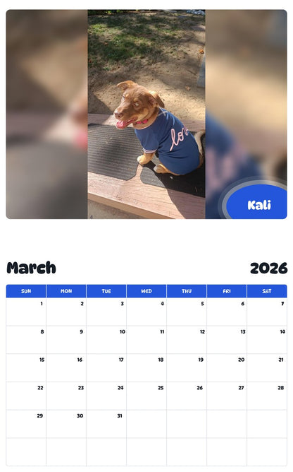 November 2025 - October 2026 Kali - Pawidols Pet Calendar