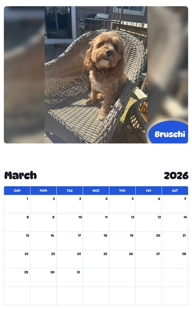 November 2025 - October 2026 Bruschi - Pawidols Pet Calendar