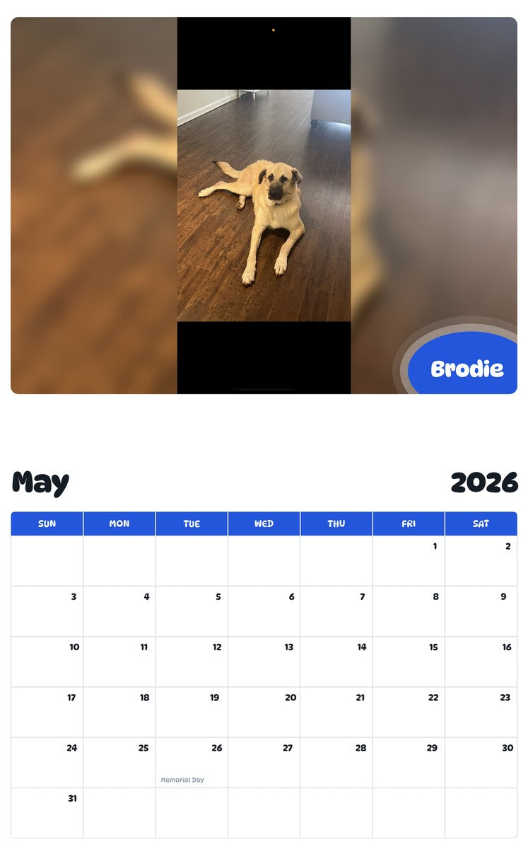 2026 - 2027 Brodie - Pawidols Pet Calendar