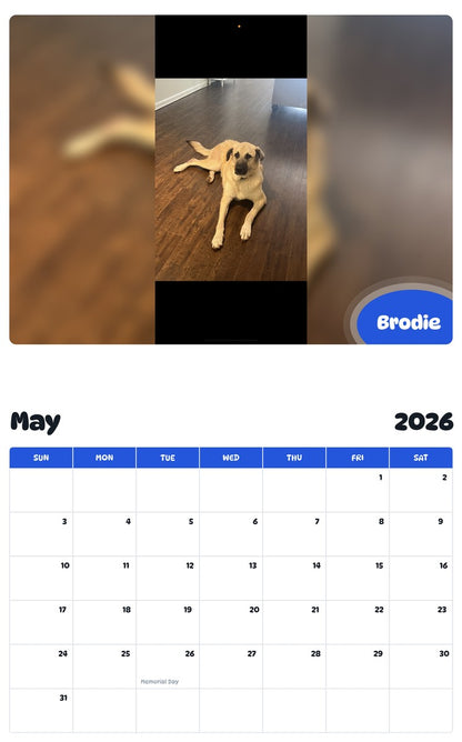 2026 - 2027 Brodie - Pawidols Pet Calendar
