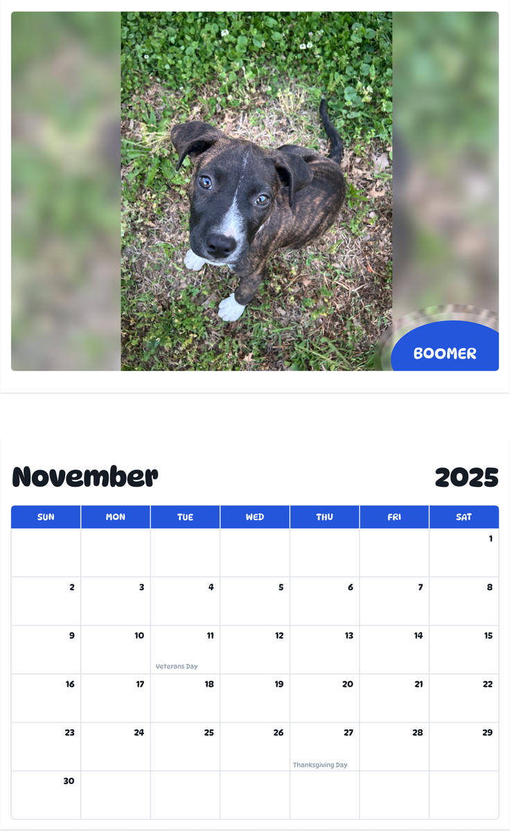 July 2025 - June 2026 Boomer - Pawidols Pet Calendar