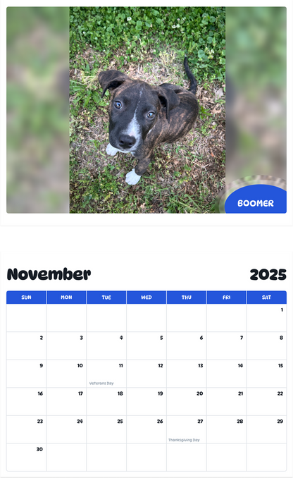 July 2025 - June 2026 Boomer - Pawidols Pet Calendar