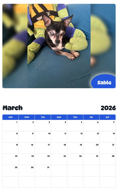November 2025 - October 2026 Sable - Pawidols Pet Calendar