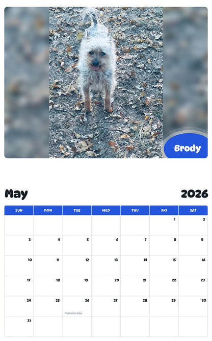 2026 - 2027 Brody - Pawidols Pet Calendar