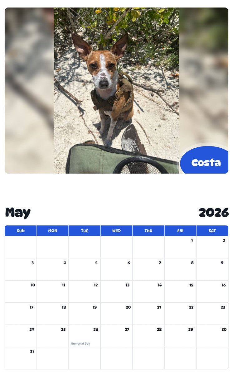 2026 - 2027 Costa - Pawidols Pet Calendar