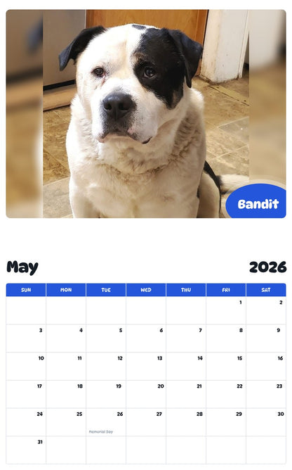 2026 - 2027 Bandit - Pawidols Pet Calendar