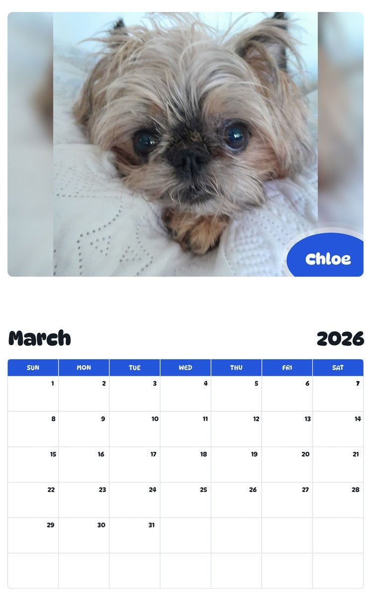 November 2025 - October 2026 Chloe - Pawidols Pet Calendar