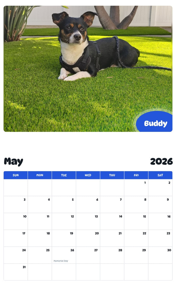 2026 - 2027 Buddy - Pawidols Pet Calendar