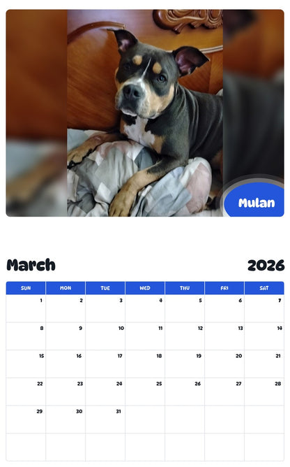 November 2025 - October 2026 Mulan - Pawidols Pet Calendar
