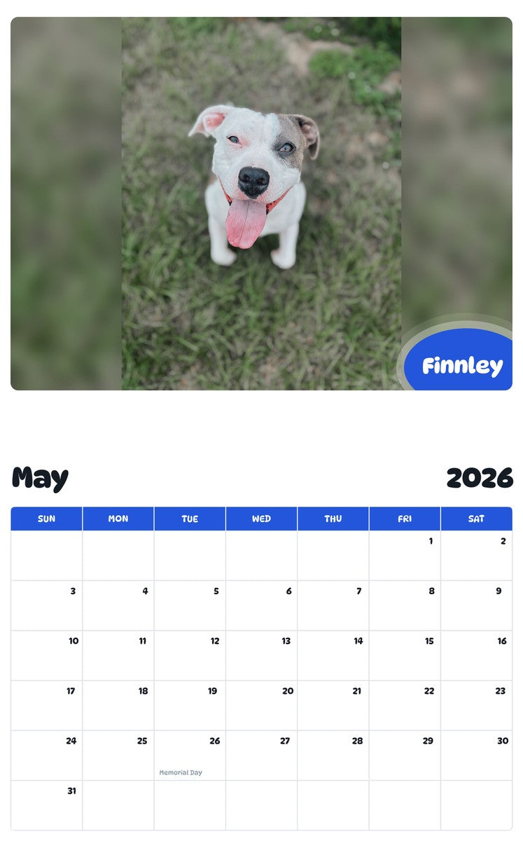 2026 - 2027 Finnley - Pawidols Pet Calendar