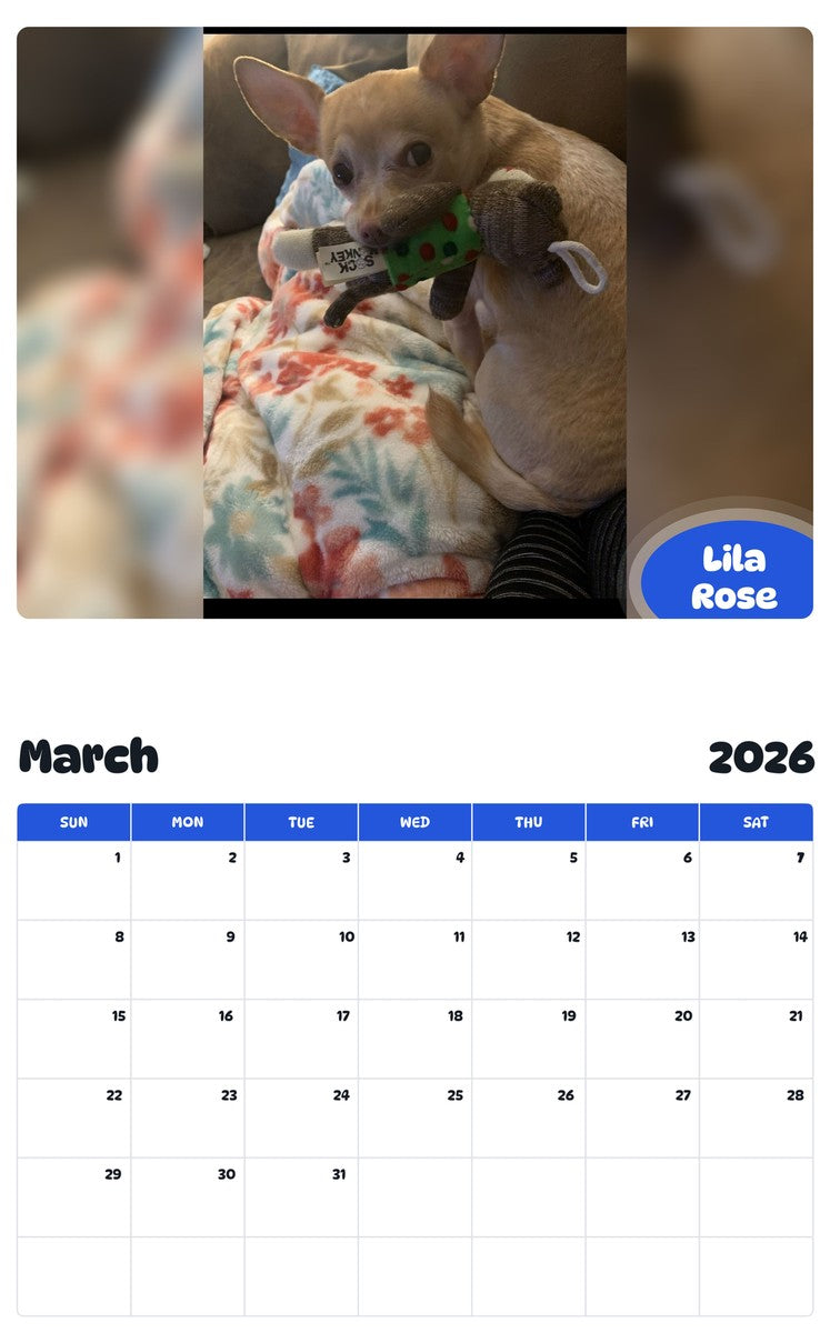 November 2025 - October 2026 Lila Rose - Pawidols Pet Calendar