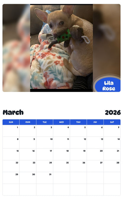 November 2025 - October 2026 Lila Rose - Pawidols Pet Calendar
