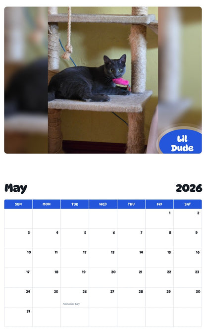 2026 - 2027 Lil Dude - Pawidols Pet Calendar