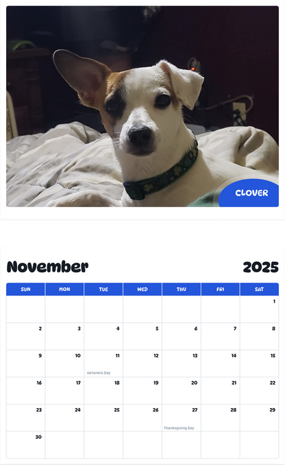 July 2025 - June 2026 Clover - Pawidols Pet Calendar
