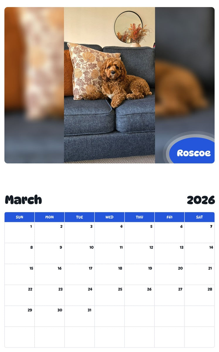 November 2025 - October 2026 Roscoe - Pawidols Pet Calendar