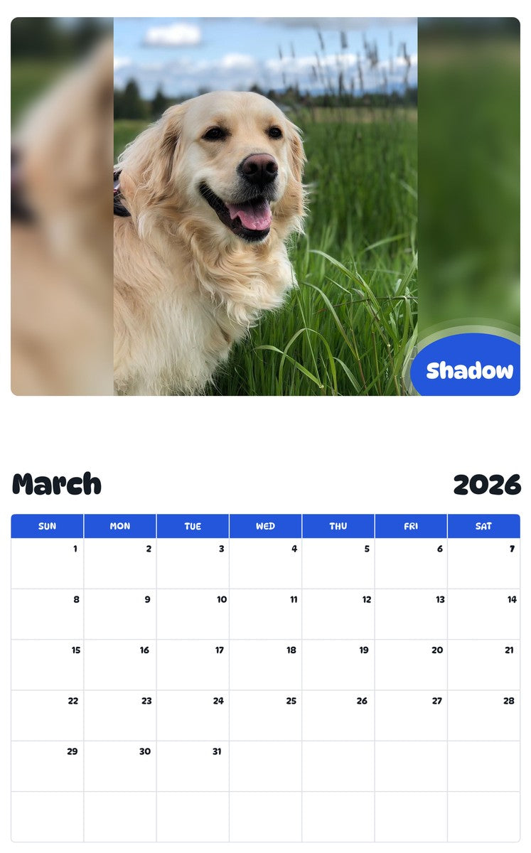 November 2025 - October 2026 Shadow - Pawidols Pet Calendar