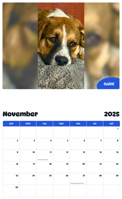 July 2025 - June 2026 Hank - Pawidols Pet Calendar