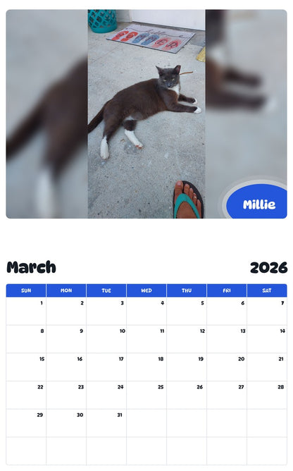 November 2025 - October 2026 Millie - Pawidols Pet Calendar
