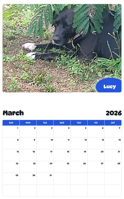 November 2025 - October 2026 Lucy - Pawidols Pet Calendar