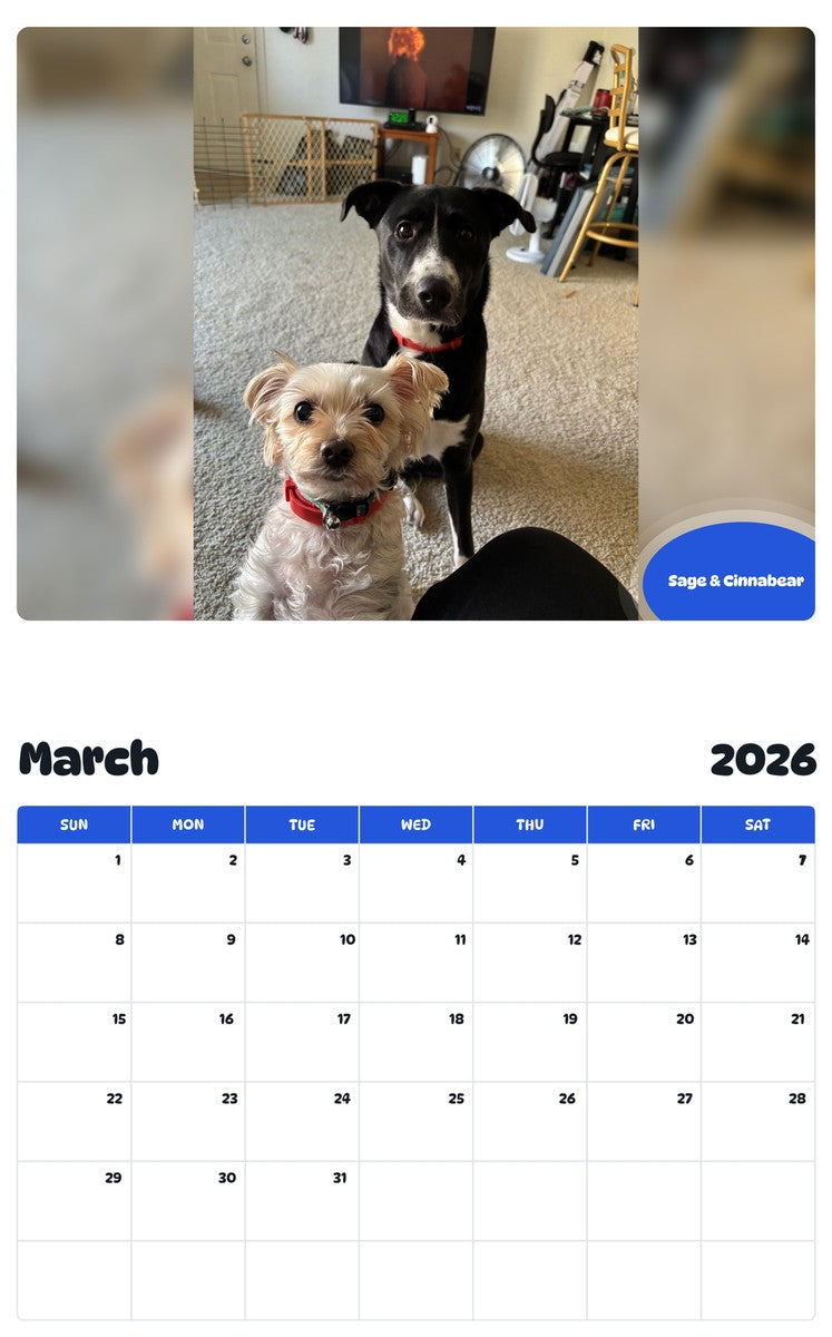 November 2025 - October 2026 Sage & Cinnabear - Pawidols Pet Calendar