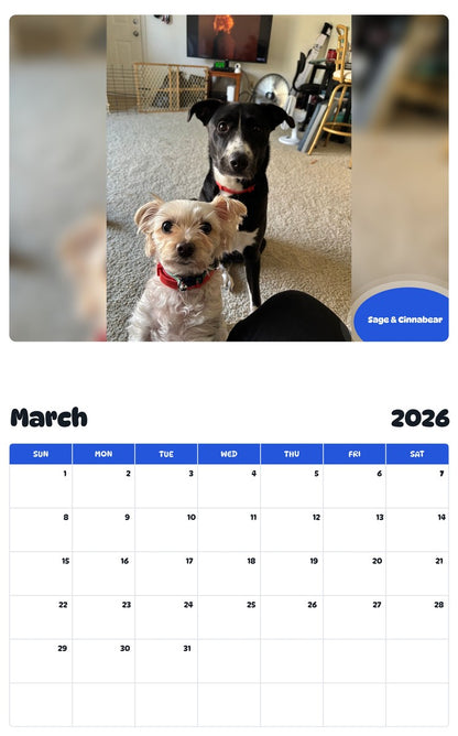 November 2025 - October 2026 Sage & Cinnabear - Pawidols Pet Calendar