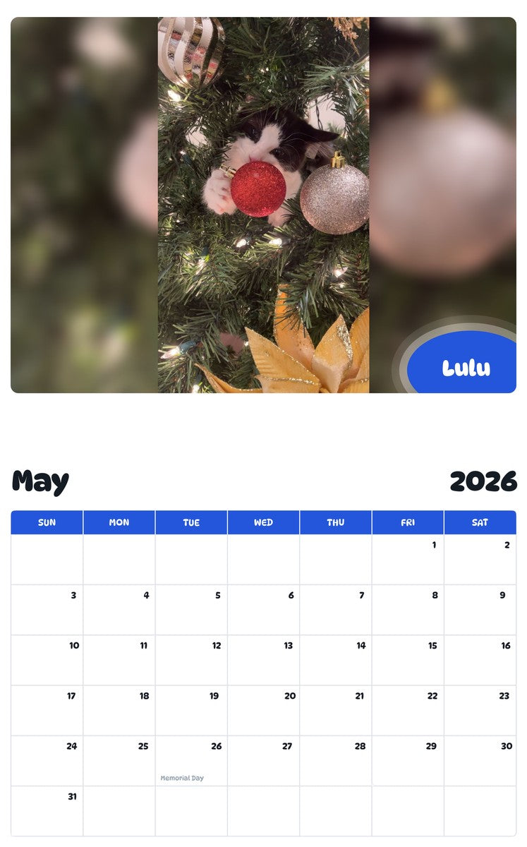 2026 - 2027 Lulu - Pawidols Pet Calendar