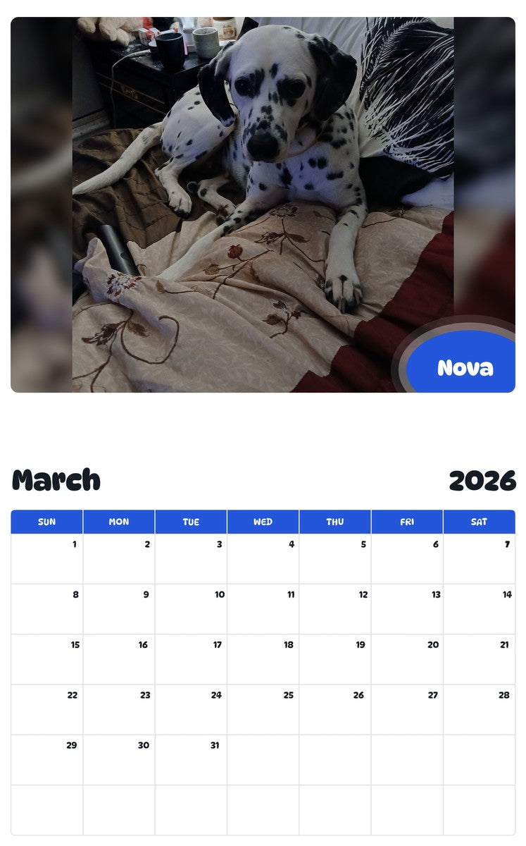November 2025 - October 2026 Nova - Pawidols Pet Calendar
