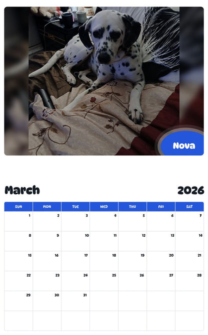 November 2025 - October 2026 Nova - Pawidols Pet Calendar