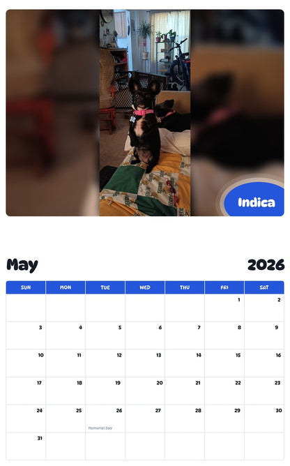 2026 - 2027 Indica - Pawidols Pet Calendar