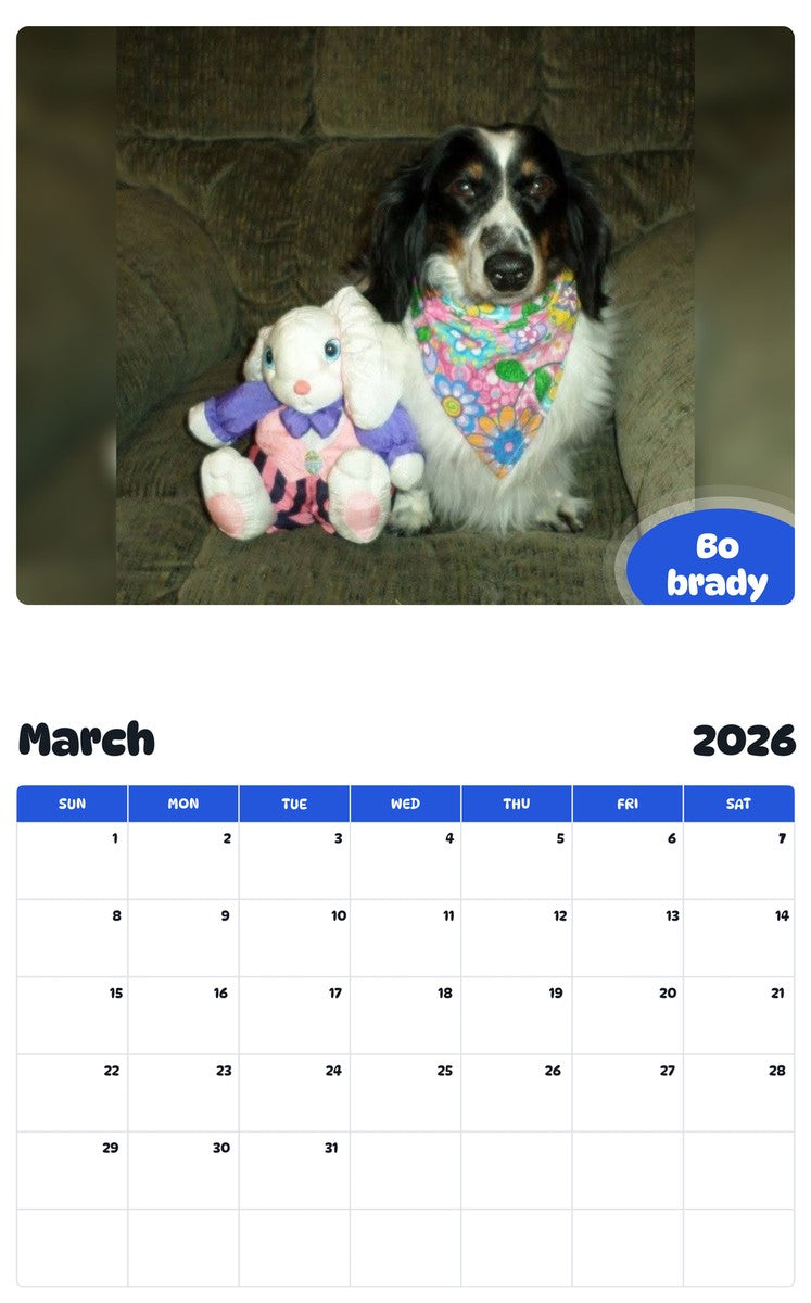 November 2025 - October 2026 Bo brady - Pawidols Pet Calendar