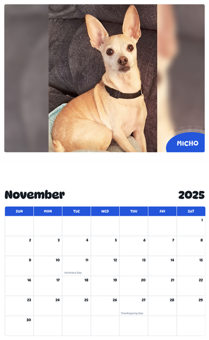 July 2025 - June 2026 Micho - Pawidols Pet Calendar