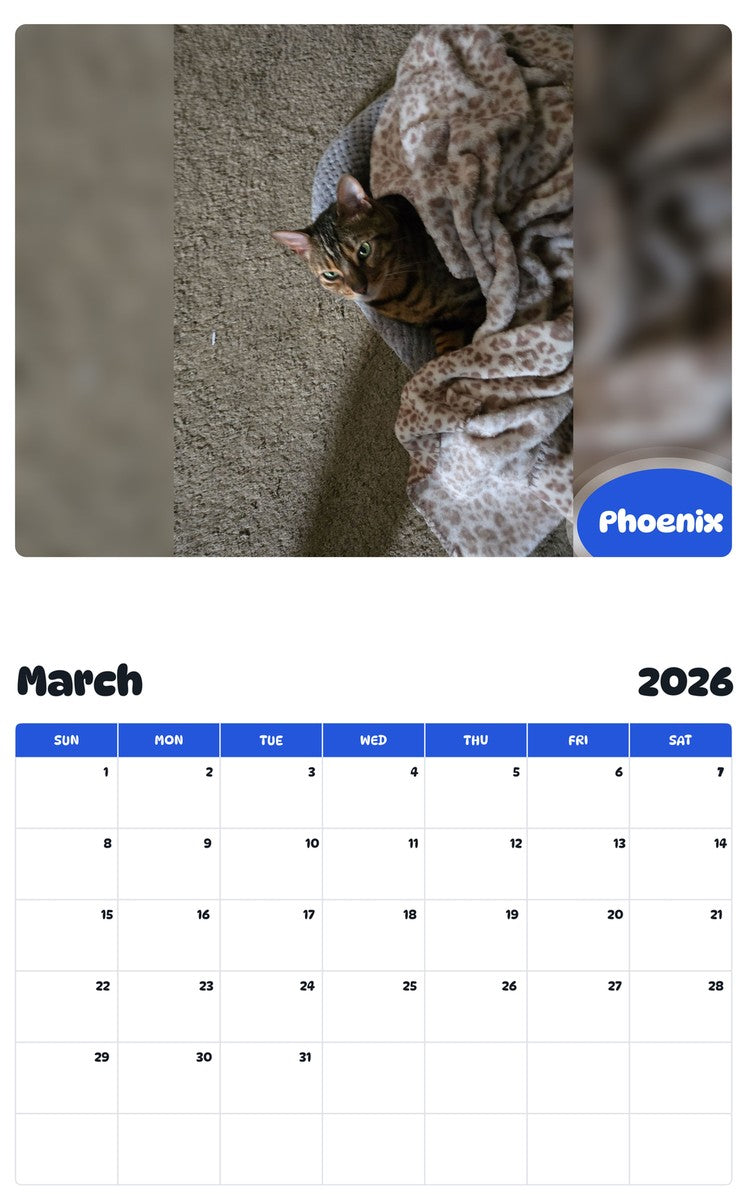 November 2025 - October 2026 Phoenix - Pawidols Pet Calendar